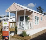 �ߥ��������̴Ź�Υȥ졼�顼�ϥ������ӡ��ȥ졼�顼�ϥ���Ź���ѽ����ѤΤ��Ҳ�