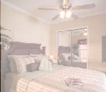 �ߥ��������̴Ź�Υȥ졼�顼�ϥ������ӡ��ȥ졼�顼�ϥ���Ź���ѽ����ѤΤ��Ҳ�