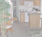 �ߥ��������̴Ź�Υȥ졼�顼�ϥ������ӡ��ȥ졼�顼�ϥ���Ź���ѽ����ѤΤ��Ҳ�