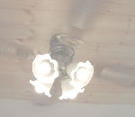 �ߥ��������̴Ź�Υȥ졼�顼�ϥ������ӡ��ȥ졼�顼�ϥ���Ź���ѽ����ѤΤ��Ҳ�