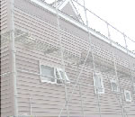 �ߥ��������̴Ź�Υ���ݡ��ȥϥ����󥰡����饵���ǥ���,͢�������ե�����Τ��Ҳ�