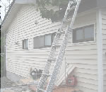 �ߥ��������̴Ź�Υ���ݡ��ȥϥ����󥰡����饵���ǥ���,͢�������ե�����Τ��Ҳ�