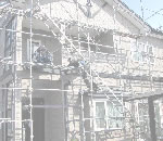 �ߥ��������̴Ź�Υ���ݡ��ȥϥ����󥰡����饵���ǥ���,͢�������ե�����Τ��Ҳ�