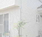 �ߥ��������̴Ź�Υ���ݡ��ȥϥ����󥰡����饵���ǥ���,͢�������ե�����Τ��Ҳ�