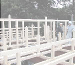 �ߥ��������̴Ź�Υ���ݡ��ȥϥ����󥰡����饵���ǥ���,͢�������ե�����Τ��Ҳ�