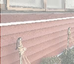 �ߥ��������̴Ź�Υ���ݡ��ȥϥ����󥰡����饵���ǥ���,͢�������ե�����Τ��Ҳ�