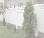 �Х��ʥ�ե��󥹻ܹ�,�ߥ��������̴Ź�ΥХ��ʥ�ե��󥹡����饵���ǥ���,͢�������ե�����Τ��Ҳ�