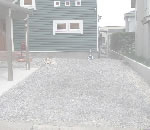 �Х��ʥ�ե��󥹻ܹ�,�ߥ��������̴Ź�ΥХ��ʥ�ե��󥹡����饵���ǥ���,͢�������ե�����Τ��Ҳ�